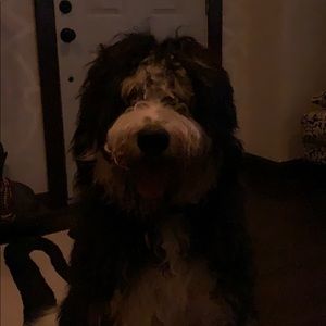 Meet your Posher, Robyn